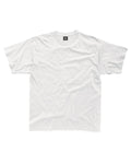 SG18 Heavyweight T-Shirt